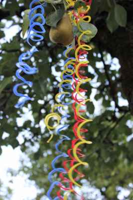 2016   Le viti del pero (2)   plastica colorata   misure variabili