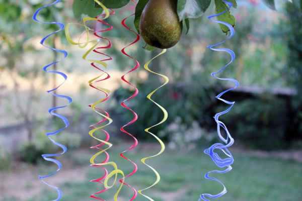 2016   Le viti del pero   plastica colorata   misure variabili